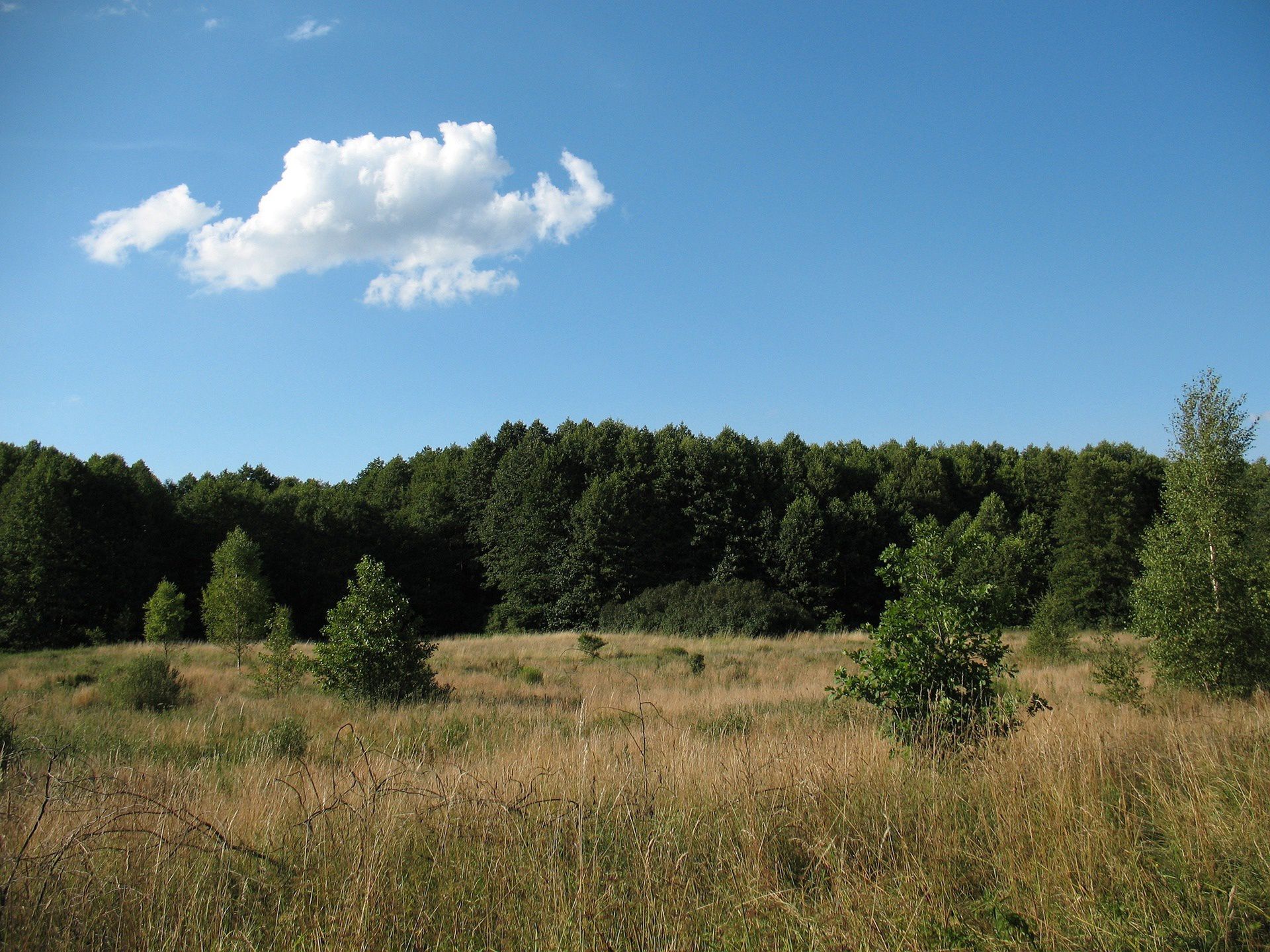 Kampinoski Park Narodowy