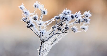 IMGW wydał ostrzeżenia. Zima znów pokaże kły