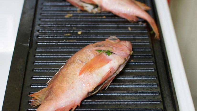 Surowy okoń atlantycki