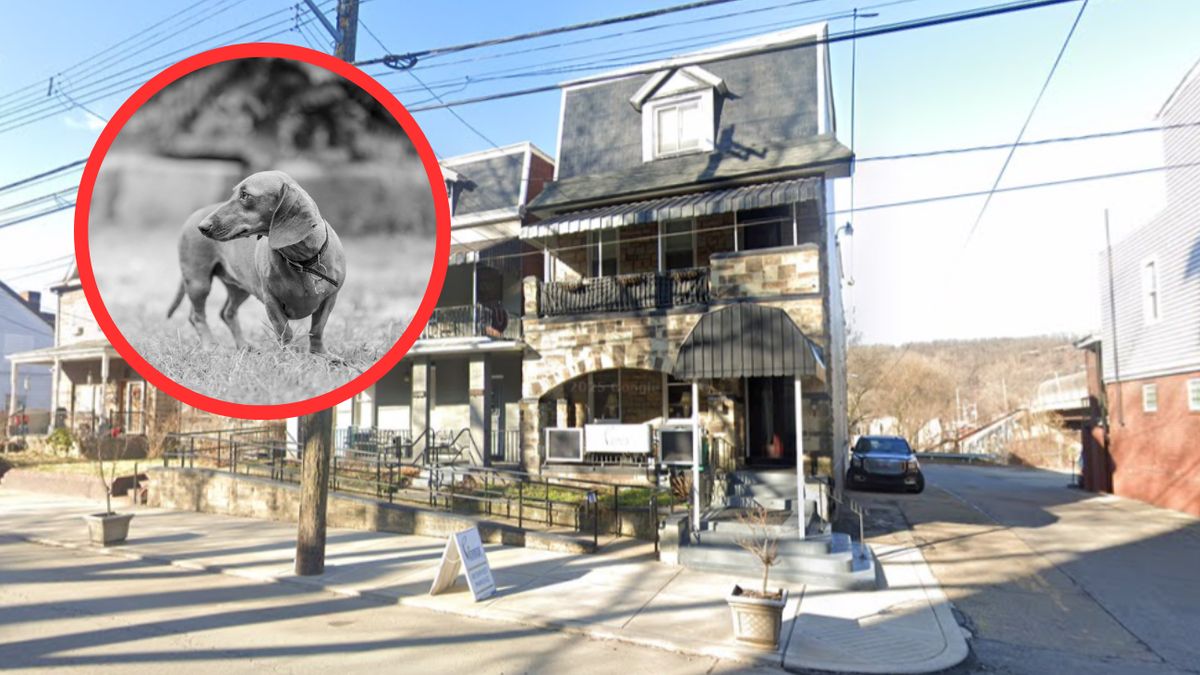 Prowadzący dom pogrzebowy przez lata oszukiwał zrozpaczonych wła