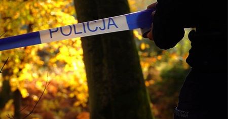 Policja ostrzega. Jest apel do grzybiarzy. "Dzwonić na 112"