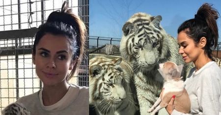 Siwiec pozuje w ZOO z... białymi tygrysami! Fani: "Na wolności powinny być, a nie w Twoich rękach!"