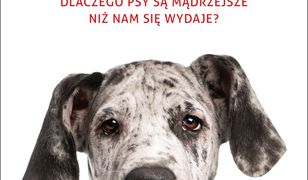 Psi geniusz. Dlaczego psy są mądrzejsze niż nam się wydaje?