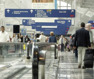 Skandal na lotnisku w Chicago. Śmierć owczarka niemieckiego pozostawionego przez kilka dni bez jedzenia i picia