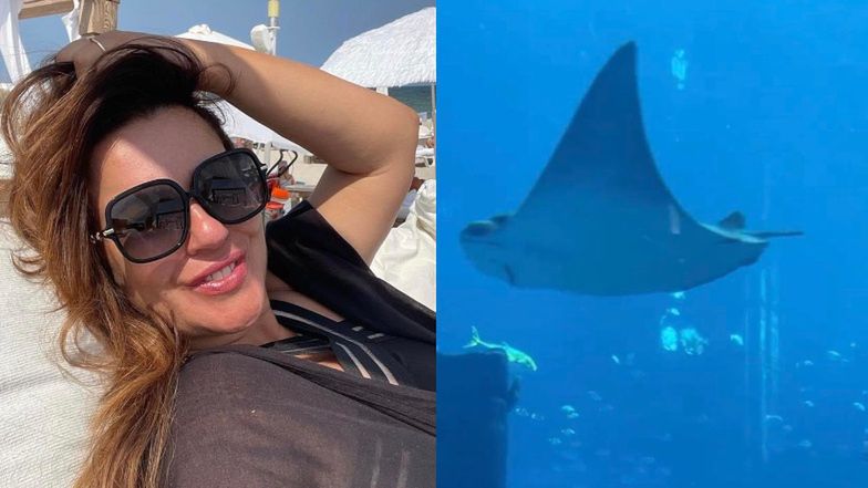 Beata Tadla kuruje się w Dubaju