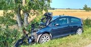 Kolizja z sarną spowodowało, że kierowca uderzył w drzewo!