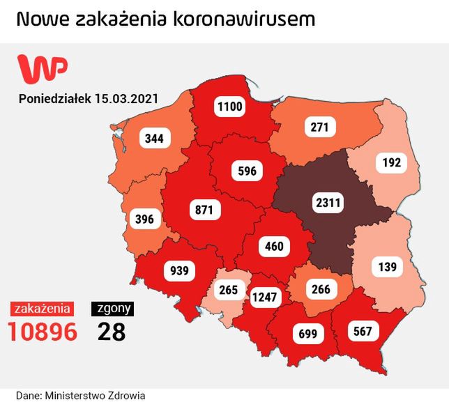 Koronawirus w Polsce. Nowe zakażenia i zgony