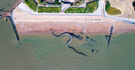 Gigantyczny wąż na plaży. Niesamowity widok