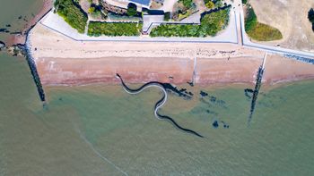 Gigantyczny wąż na plaży. Widok robi wrażenie