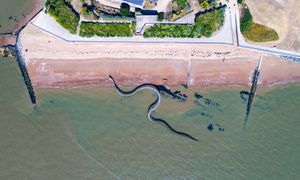 Gigantyczny wąż na plaży. Widok robi wrażenie