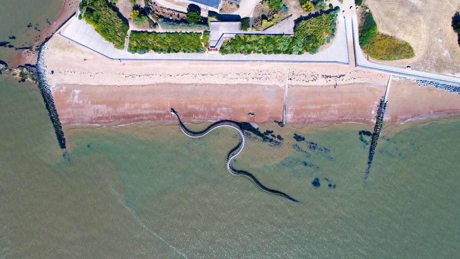 Wąż oceaniczny Serpent d'Océan