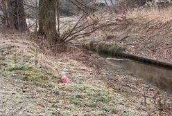 Pokazali nagranie z miejsca zbrodni w Jeleniej Górze. "To bezpieczna okolica, jesteśmy w szoku"