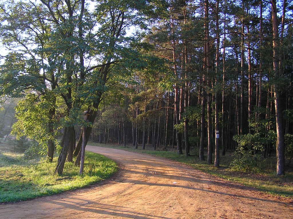 Kampinoski Park Narodowy 