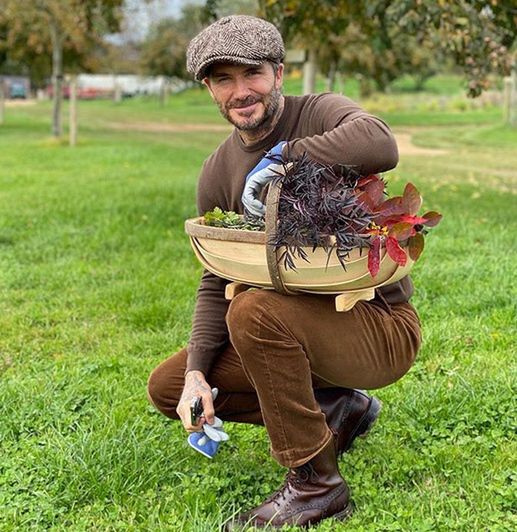 David Beckham z córką Harper