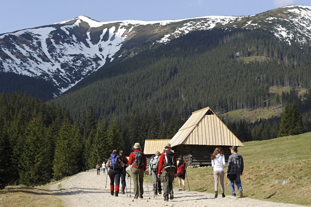 Tatry. Turysta chciał zrobić selfie z niedźwiedziem. Został ugryziony