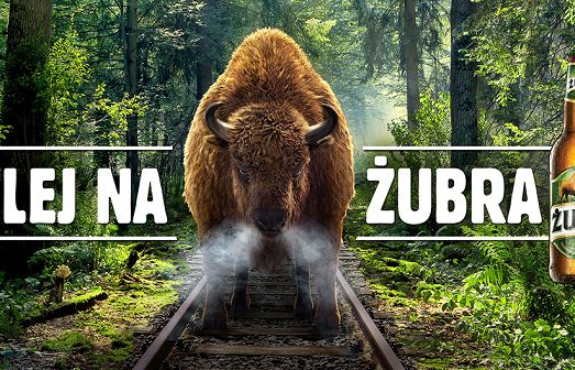 „Kolej na Żubra” w pierwszej kampanii piwa Żubr po powrocie do PZL (wideo)