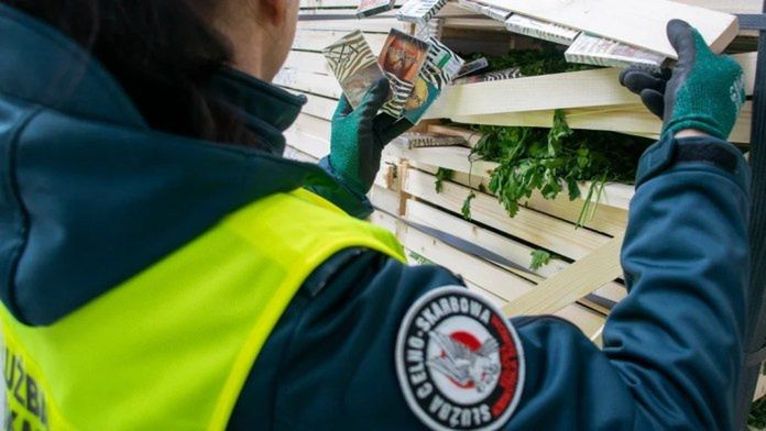 Budzisko: Gruzińska ciężarówka z "pietruszką" pełna papierosów