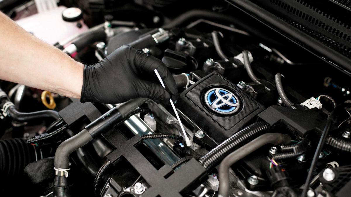 Zdjęcie ilustracyjne do artykułu