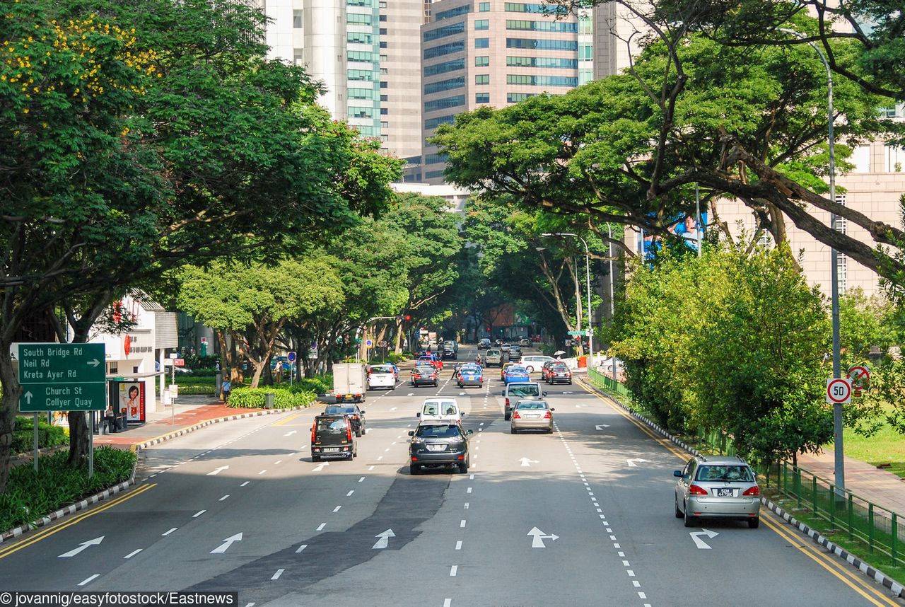 Mimo gęstego zaludnienia, na ulicach Singapuru nie ma wielu samochodów. Cena za to jest jednak wysoka (fot. jovannig/easyfotostock/Eastnews)