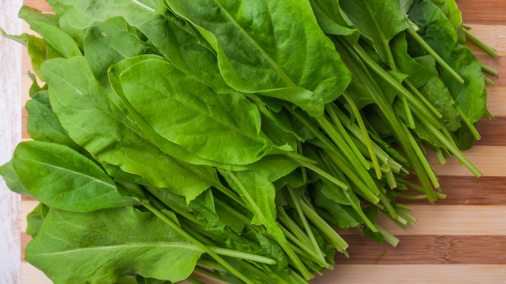 Młode liście szczawiu