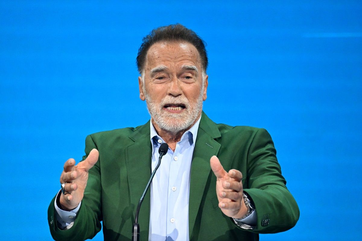 Schwarzeneggers Klimabotschaft: Aktiv werden statt klagen