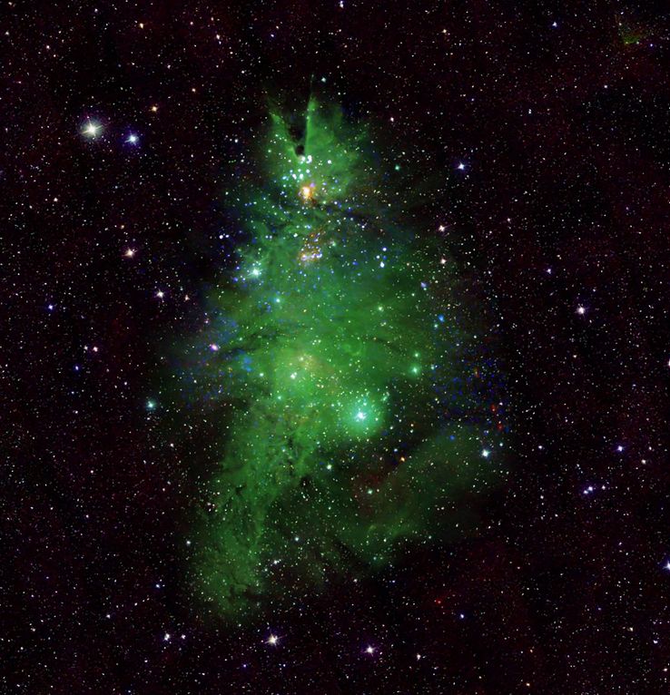 NASA lights up festive season with a cosmic Christmas Tree, 2500 light years away