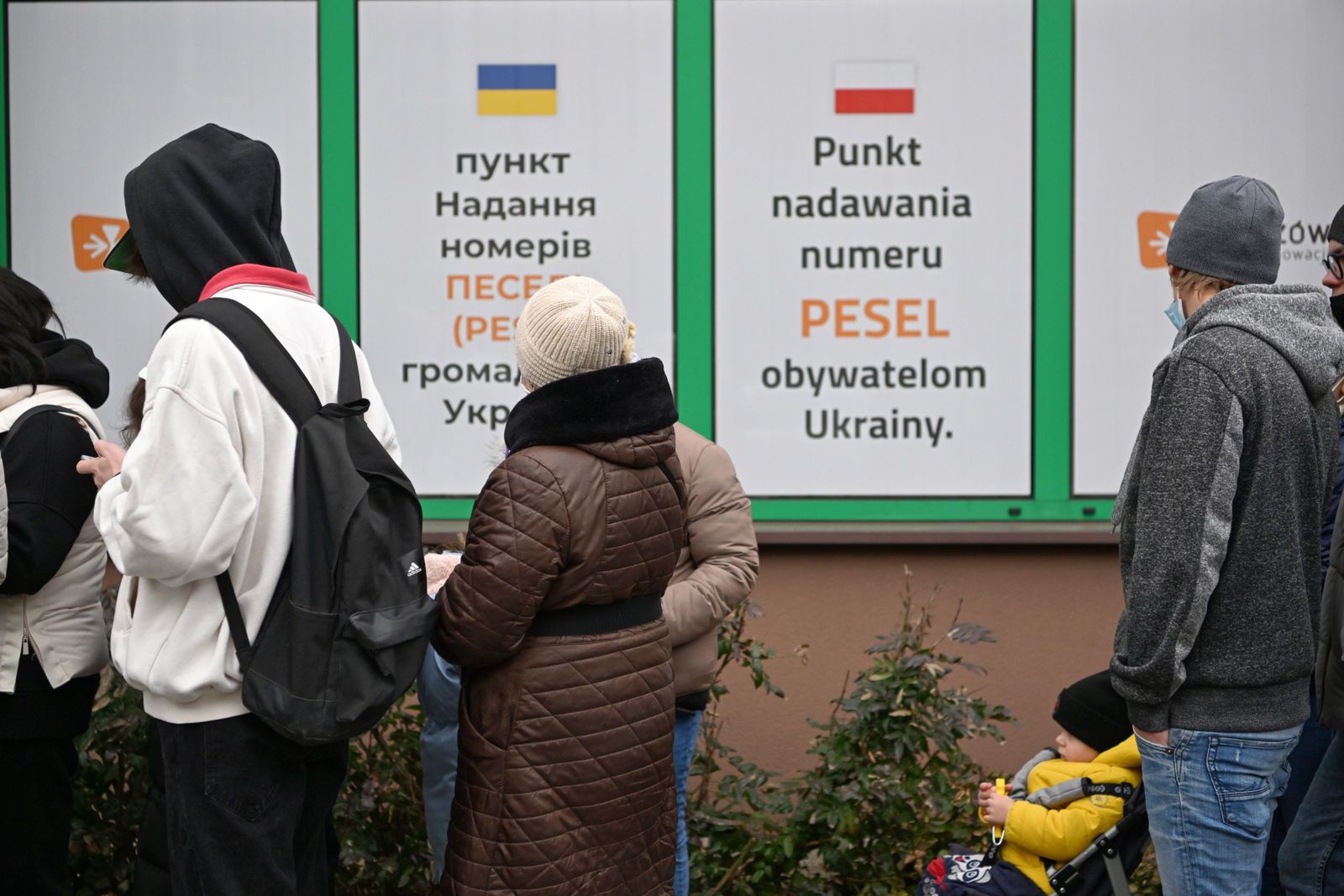 Gigantyczne kolejki przed urzędami. Ukraińcy składają podanie o PESEL