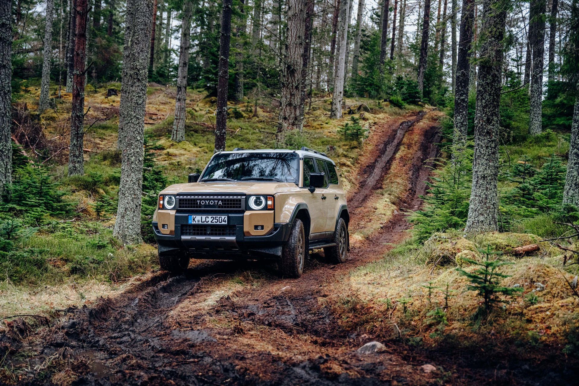 Toyota Land Cruiser First Edition