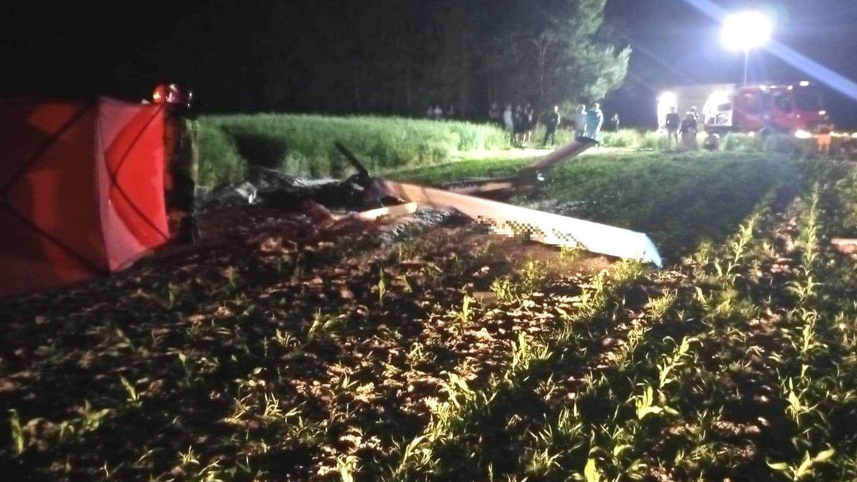 W Górkach rozbił się samolot