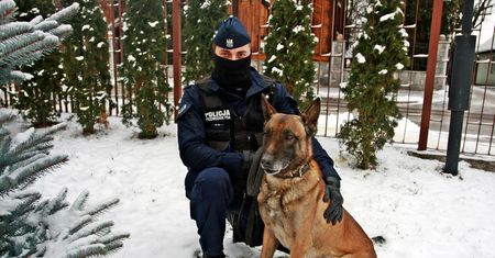 Miał nosa. Psi detektyw odnalazł poszukiwanego nastolatka