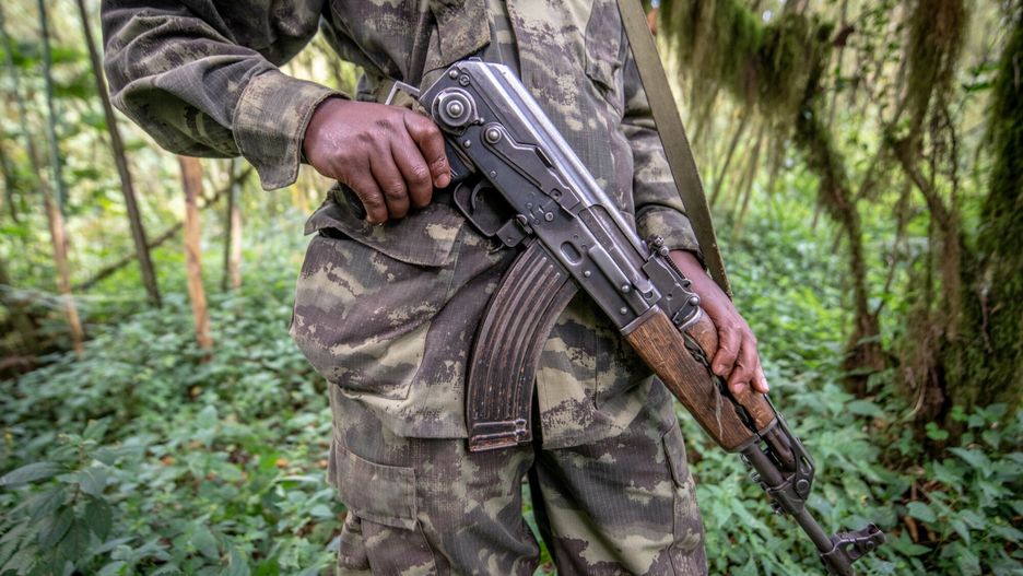 agefotostock 2019-04-24
Park ranger with AK-47 Machine gun Volcanos National Park , Rwanda.
Edwin Remsberg