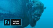 Czy minuta wystarczy, aby nauczyć się czegoś nowego z Photoshopa? Adobe twierdzi, że tak