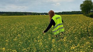 Kontrole PIORiN. Tych dokumentów może zażądać inspektor