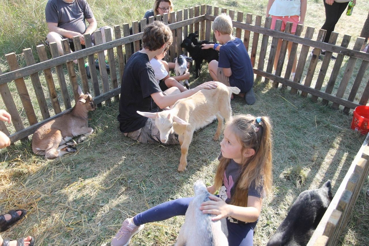 Borówno: To będzie atrakcja! Wiejska zabawa dla dzieci i rodziców