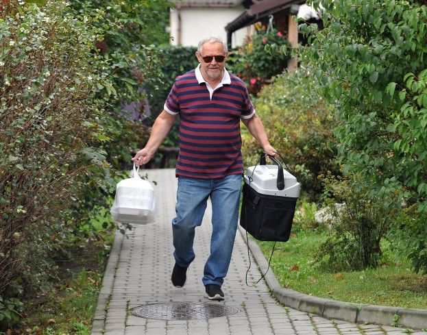 Obraz
