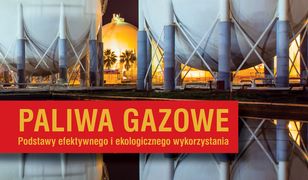 Paliwa gazowe. Podstawy efektywnego i ekologicznego wykorzystania