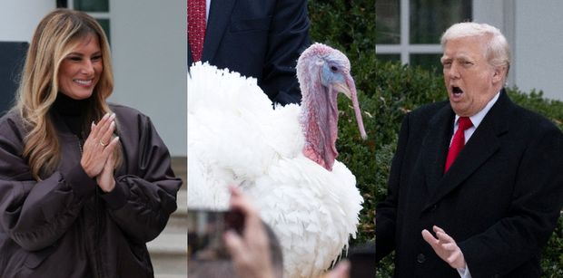 Przerażony Donald Trump i uradowana Melania UŁASKAWILI indyka. Kto się bardziej bał? (ZDJĘCIA)