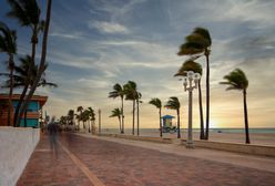 Strach i groza na Florydzie. Słońce, palmy i ciemna strona tropicznego raju