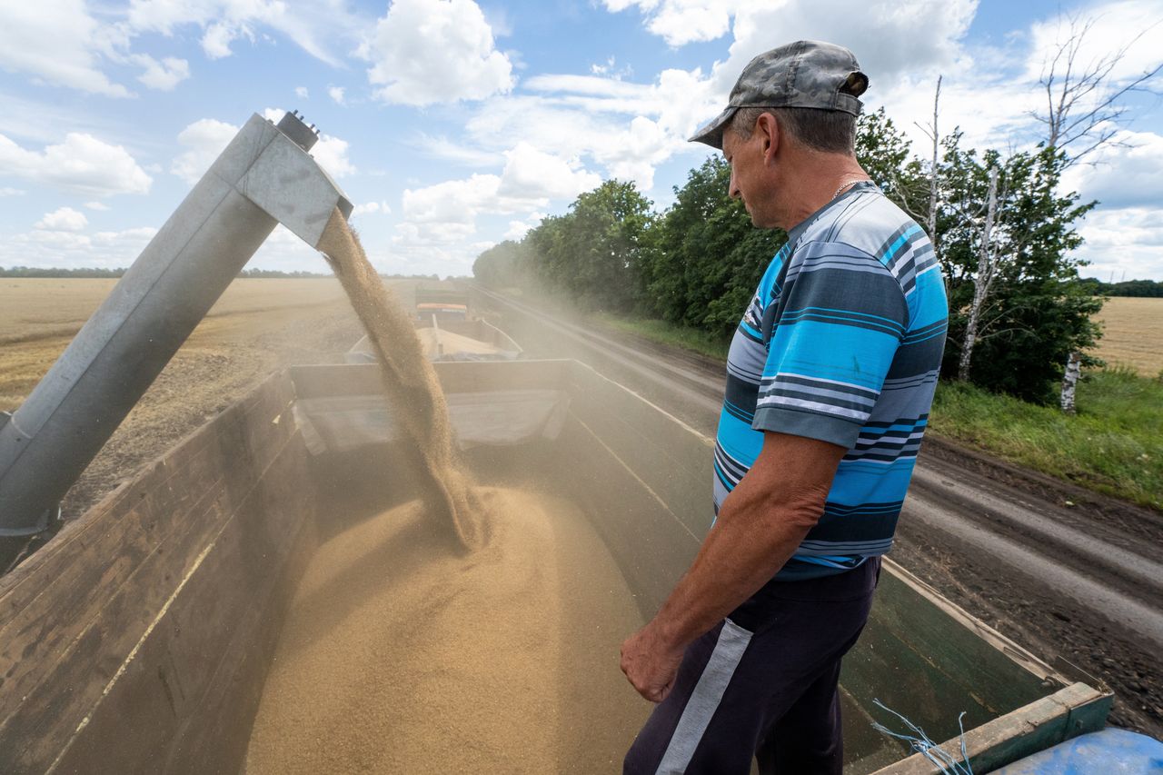 Węgry tymczasowo zablokowały import ukraińskiego zboża