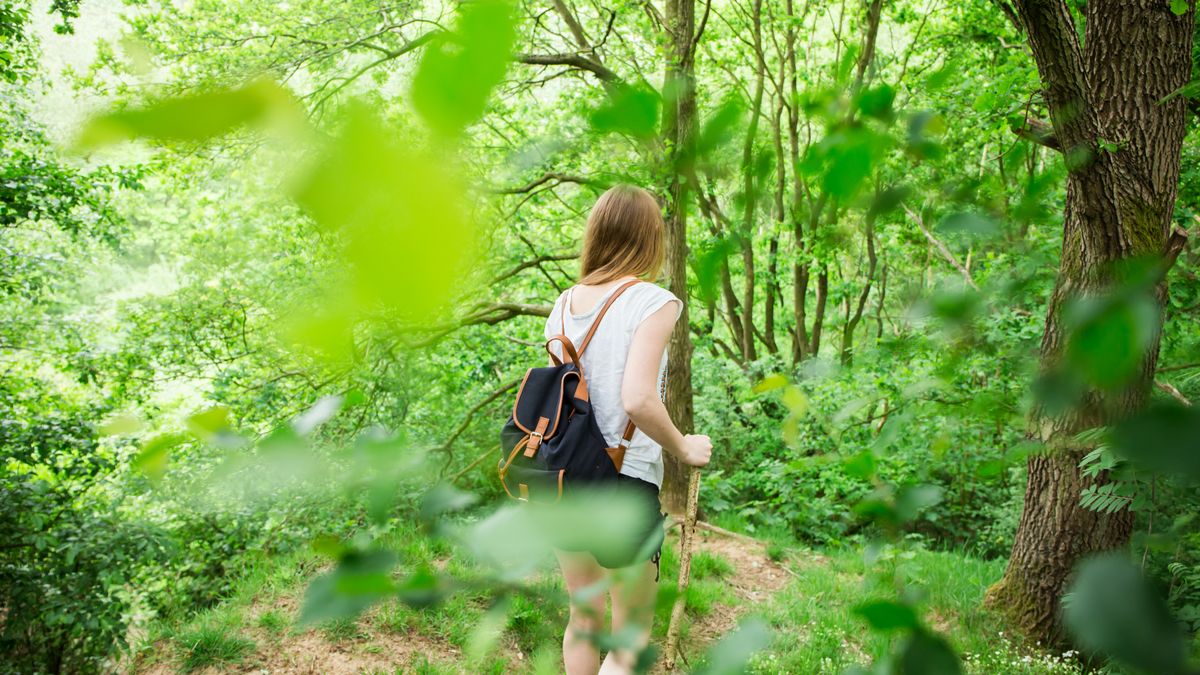 Spacery po lesie są niezwykle relaksujące. 