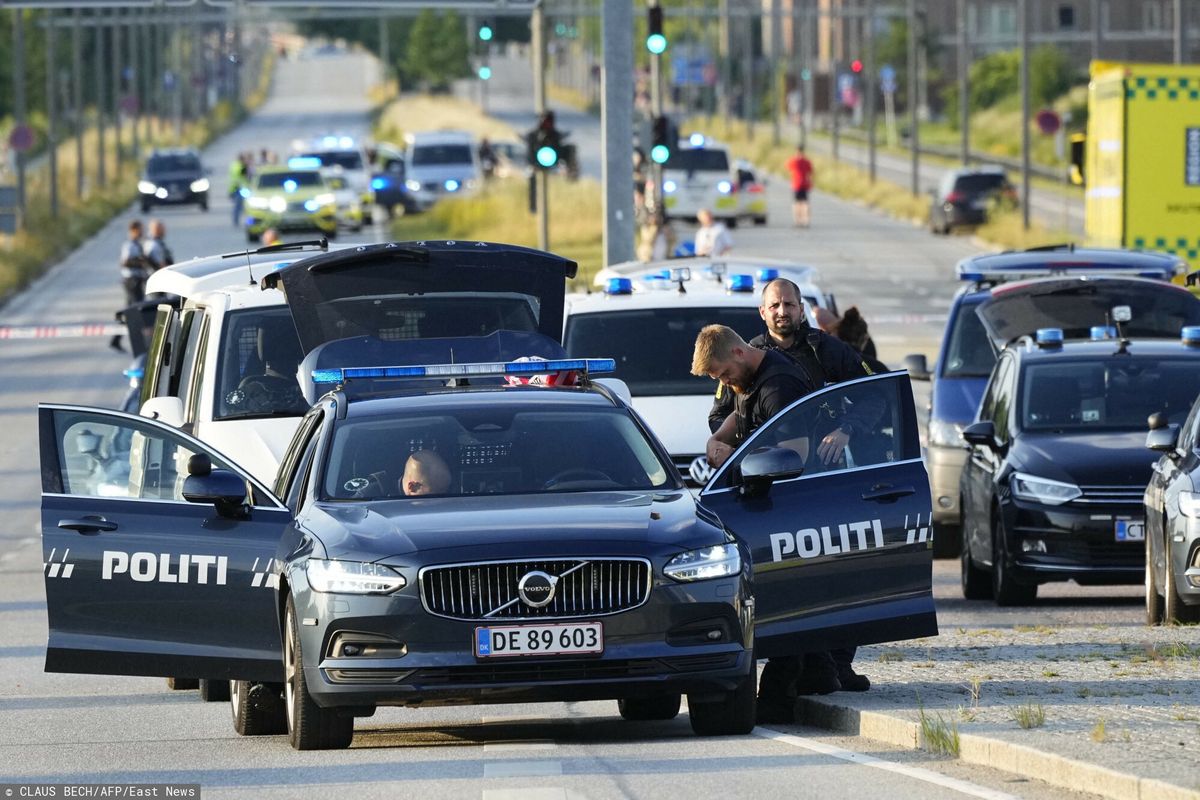 Duńska policja