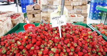 Rosjanie kupują przy granicy truskawki, bo u nich nie ma