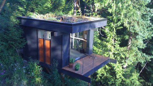 Wymarzone biuro na skraju lasu 1