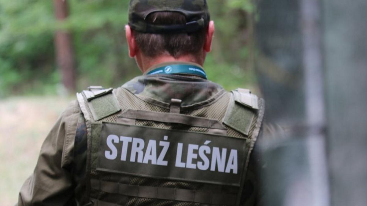 Zdjęcie ilustracyjne. 