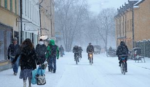 Drastyczny skok temperatur. Termometry w Szwecji pokazują ponad 50 stopni więcej