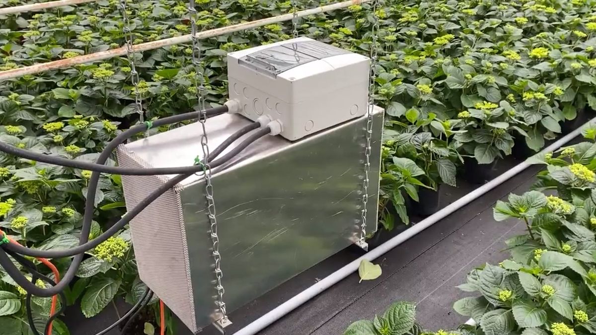 Koparka Bitcoinów ogrzewająca szklarnię.