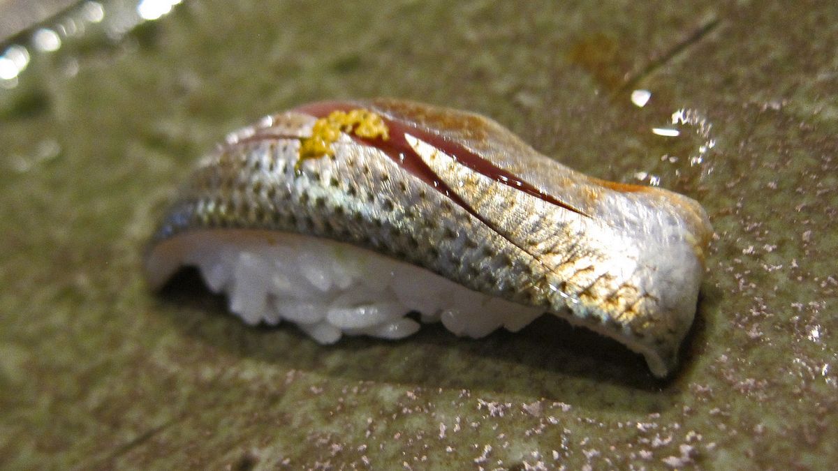 Surowa aloza amerykańska