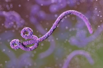 Ebola się rozprzestrzenia. Kolejny kraj potwierdził pierwszy przypadek