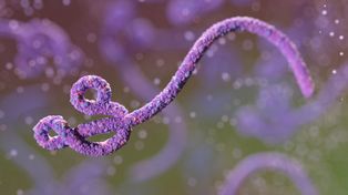 Ebola się rozprzestrzenia. Kolejny kraj potwierdził pierwszy przypadek