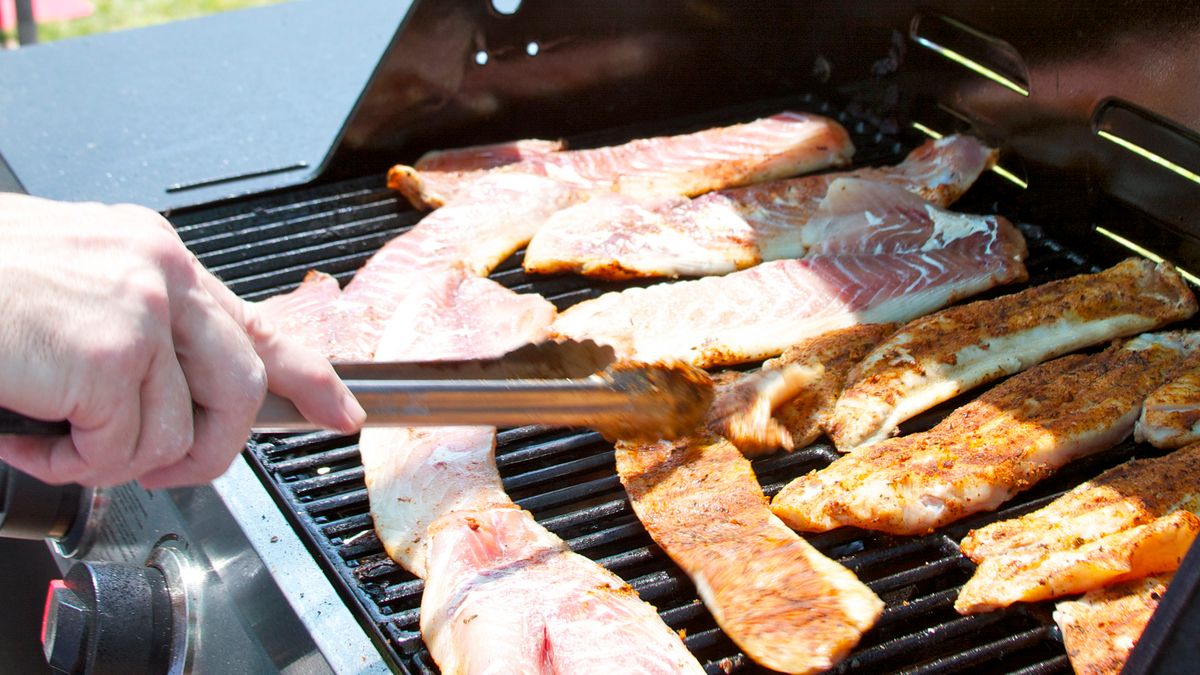 Sargus owczak poddany obróbce wysuszającej mięso